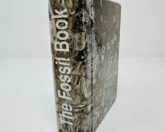 11 FossilStoneBookSculptureTheFossilBook6Tall