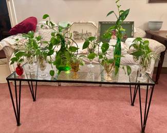 Plant bouquets! Rooted plant propagations in crystal or vintage glass