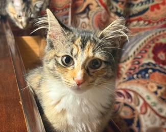 Georgia 4 months 