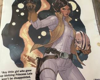 Princess Leia graphic novel