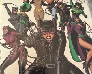Catwoman Graphic novel