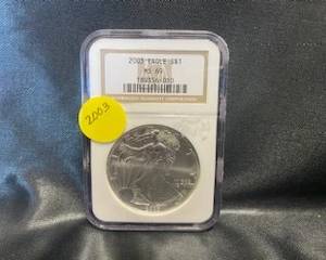 2003- Silver Eagle 