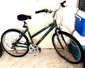 Giant bike