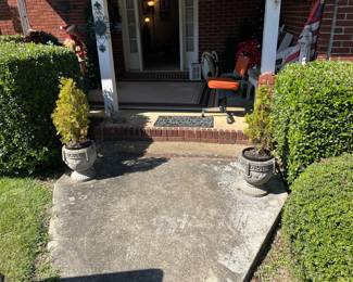 Flower pots and plants 
