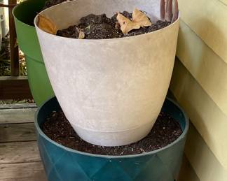 PLANTERS