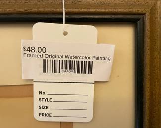 Framed Original Watercolor Painting