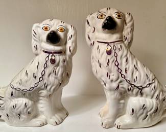 Staffordshire Spaniels