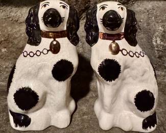 Staffordshire Spaniels (England)