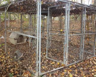Large chain link dog pin w/2 gates and chain link total coverage top. 12x12
