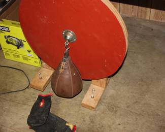 Pro punching  bag & gloves