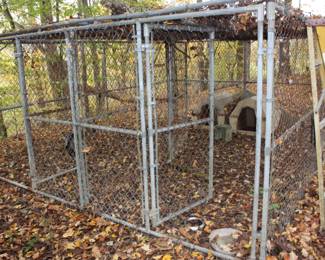 Large chain link dog pin w/2 gates and chain link total coverage top. 12x12