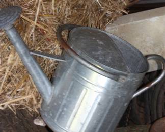 Galvanized water can