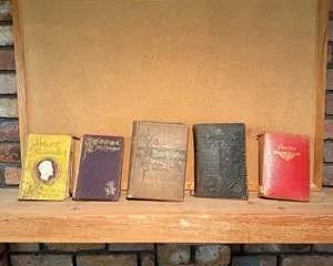 Collection of Vintage Classic Literature Books Including Burns and Robert Burns Portraits