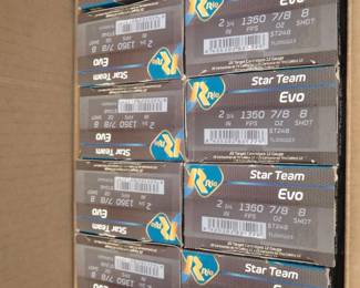 Lot 330. One case of Rio 12-gauge, 8-shot, 10 boxes, 250 rounds