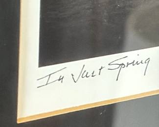 Framed "In Vast Spring" Photograph by Alvis
