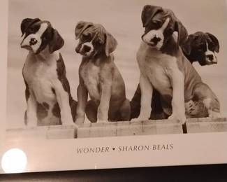 Boxer Puppies "Wonder" Print by Sharon Beals