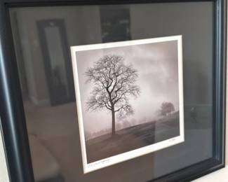 Framed "In Vast Spring" Photograph by Alvis