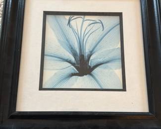 Framed Blue Floral X-Ray Art Print