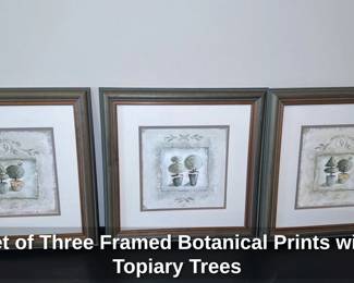 Set of Three Framed Botanical Prints with Topiary Trees