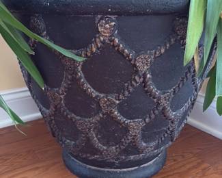 Large Decorative Planter with Dracaena Plant