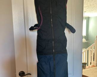 Ski bag