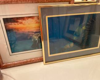 Framed ocean life