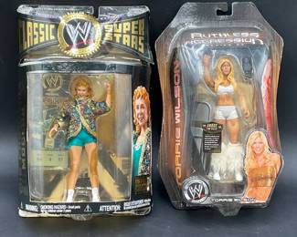 Wrestling Action Figures
