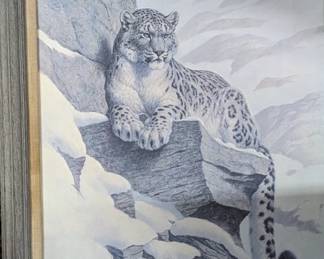 Leopard lovers - look at him!!