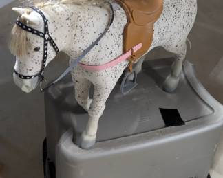 Look at this gorgeous pony!