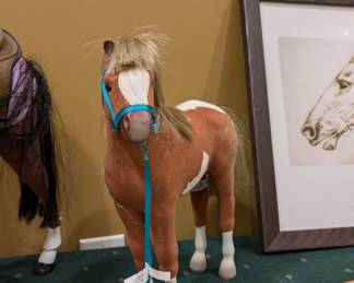 This pony is so cute and he needs a home