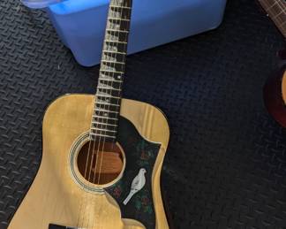 Acoustic guitar Martin