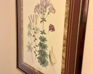 Botanical Prints 