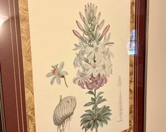 Botanical prints 