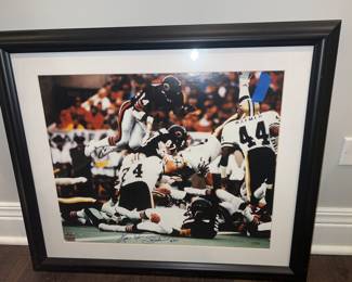 Chicago Bears Autographed Picture