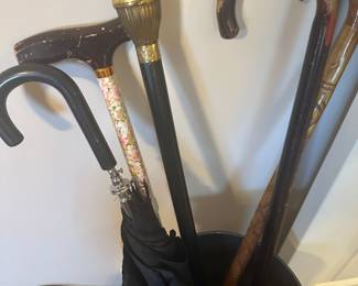 canes and walking sticks