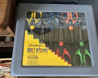 Sassy Scissors in package