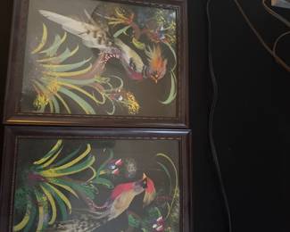 framed pieces of Mexican feather art