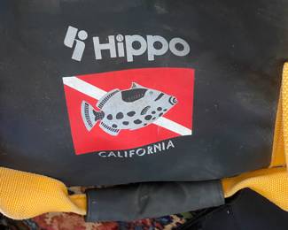 Bag for carrying scuba gear