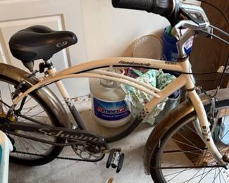 Schwinn Cruiser