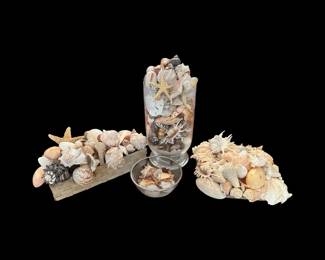 Lot Of Sea Shell Decor