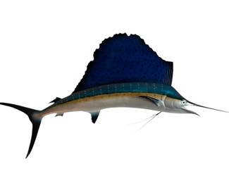 Massive Mounted Swordfish