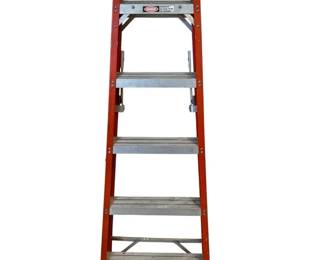 Davidson 6Foot Fiberglass Step Ladder
