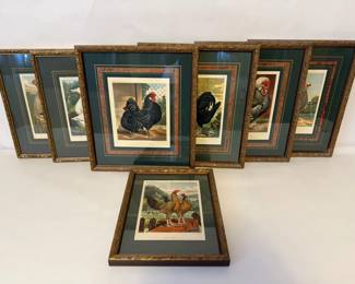 Set of Framed 1800s Poultry Prints from Cassells Poultry Book