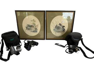 Lot Of Vintage Cameras, Binoculars, And Bird Pictures 