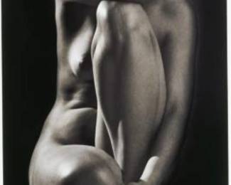2062
Ruth Bernhard
(1905-2006)
"Classic Nude," from "The Eternal Body" portfolio, 1952
Gelatin silver print on paper mounted to matboard
Unsigned; printed later
Image/Sheet: 9.625" H x 7.125" W; Matboard: 16.875" H x 13.75" W
Estimate: $400 - $600