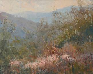 2106
Meredith Brooks Abbott
(b. 1938)
"Buckwheat, Looking Towards Ojai," 1989
Oil on canvas
Signed lower left: M.B. Abbott; titled and dated verso: August 1989
11" H x 14" W
Estimate: $500 - $700