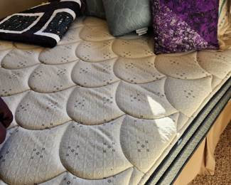 It is a Double Mattress/Box Spring in Great Condition. The angle of my photo looks smaller. 