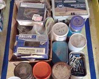 Large Lot of Screws (Various Sizes) - B