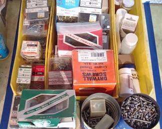 Large Lot of Screws (Various Sizes) - A