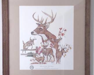 Bill Bolin Pencil Signed / Numbered Deer Print